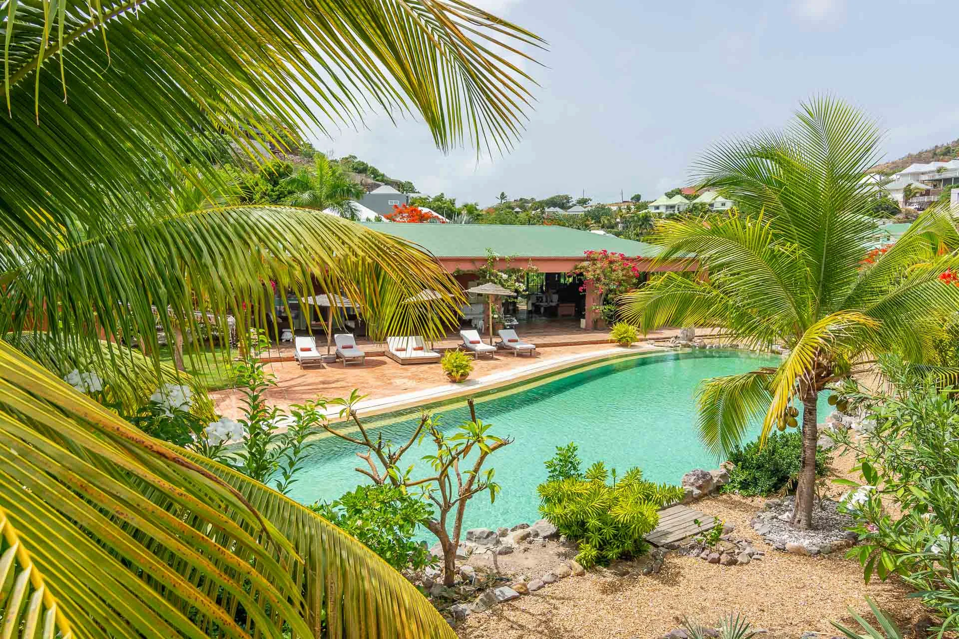 Villa African Queen